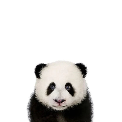 Removable Vinyl Wall Decals of Adorable Animals for Nursery Decor
