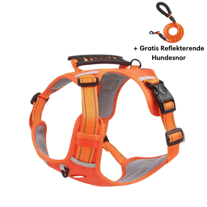 Lightweight No-Pull Harness for Safe and Stylish Walks