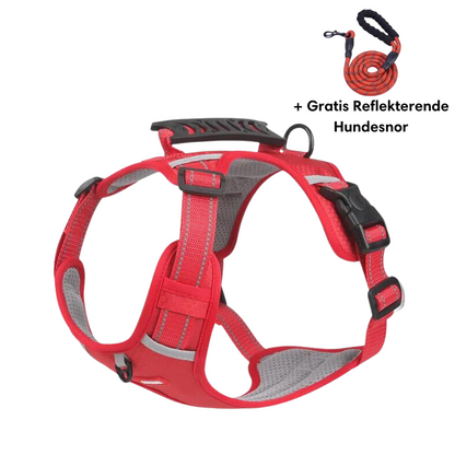 Lightweight No-Pull Harness for Safe and Stylish Walks