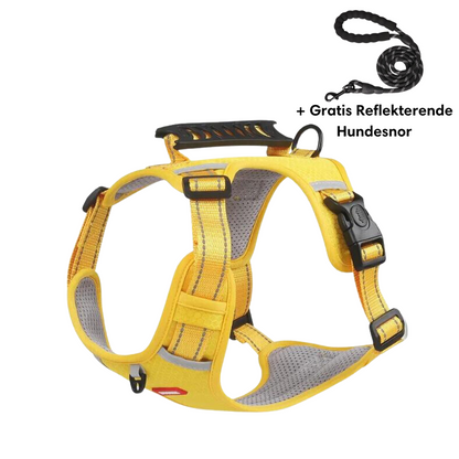 Lightweight No-Pull Harness for Safe and Stylish Walks