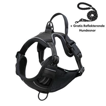 Lightweight No-Pull Harness for Safe and Stylish Walks