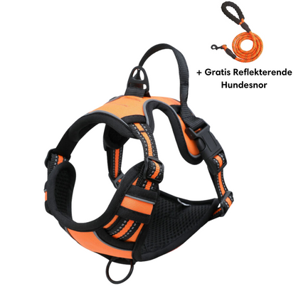 Lightweight No-Pull Harness for Safe and Stylish Walks