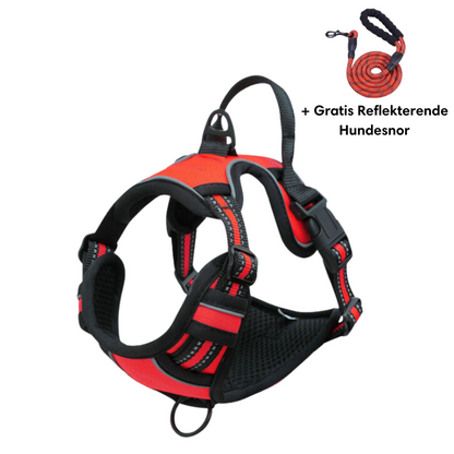 Lightweight No-Pull Harness for Safe and Stylish Walks