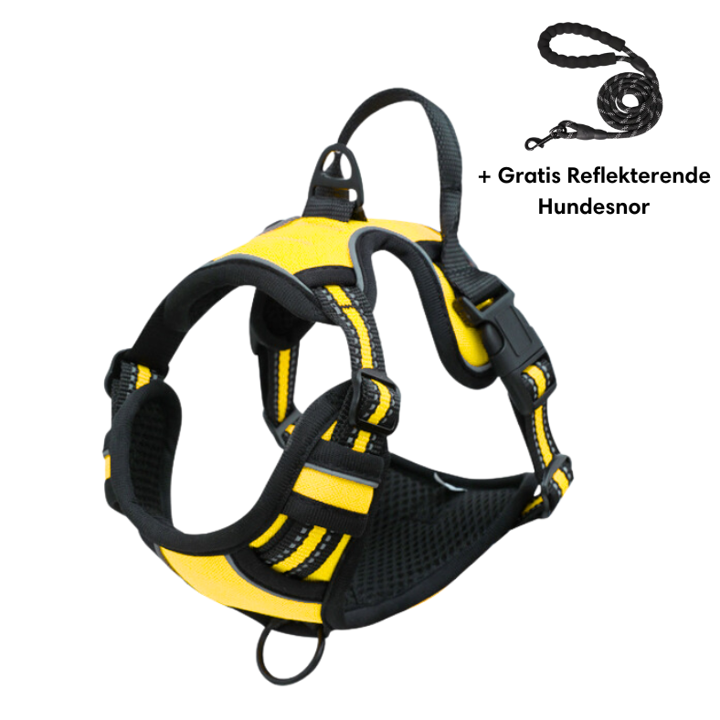Lightweight No-Pull Harness for Safe and Stylish Walks