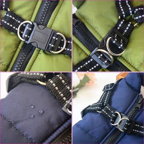 Ultimate Dog Raincoat for All Weather Protection