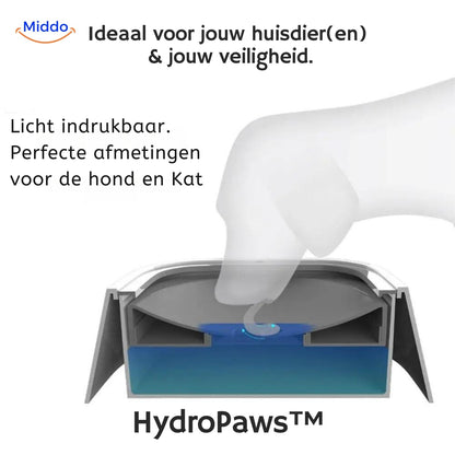 Slip-Resistant Drinking Bowl for Safe Hydration - PawGuard Anti-Splash