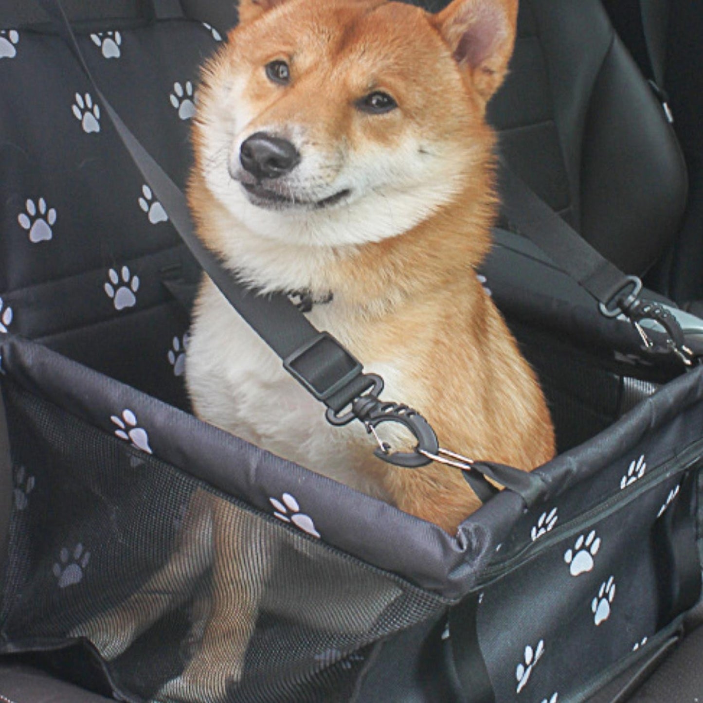 Elevated Dog Car Seat with Waterproof Design – Non-Slip and Secure