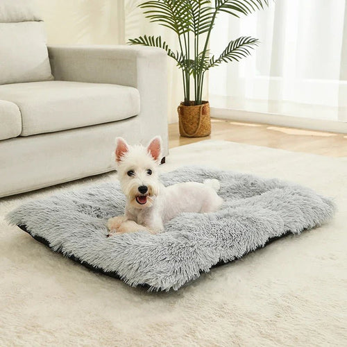 Luxurious Plush Dog Bed | Cozy Cotton Cover | DreamRest