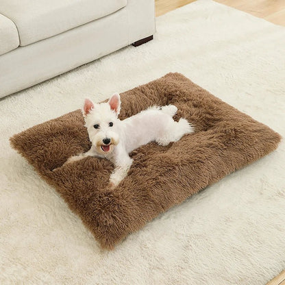 Luxurious Plush Dog Bed | Cozy Cotton Cover | DreamRest