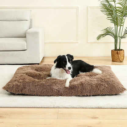 Luxurious Plush Dog Bed | Cozy Cotton Cover | DreamRest