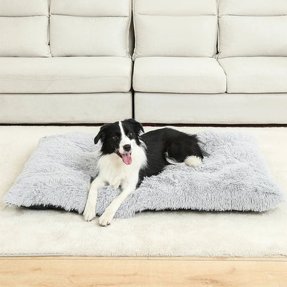 Luxurious Plush Dog Bed | Cozy Cotton Cover | DreamRest