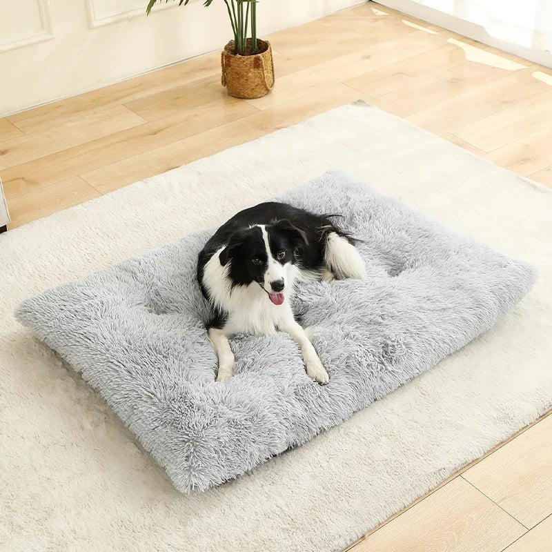 Luxurious Plush Dog Bed | Cozy Cotton Cover | DreamRest