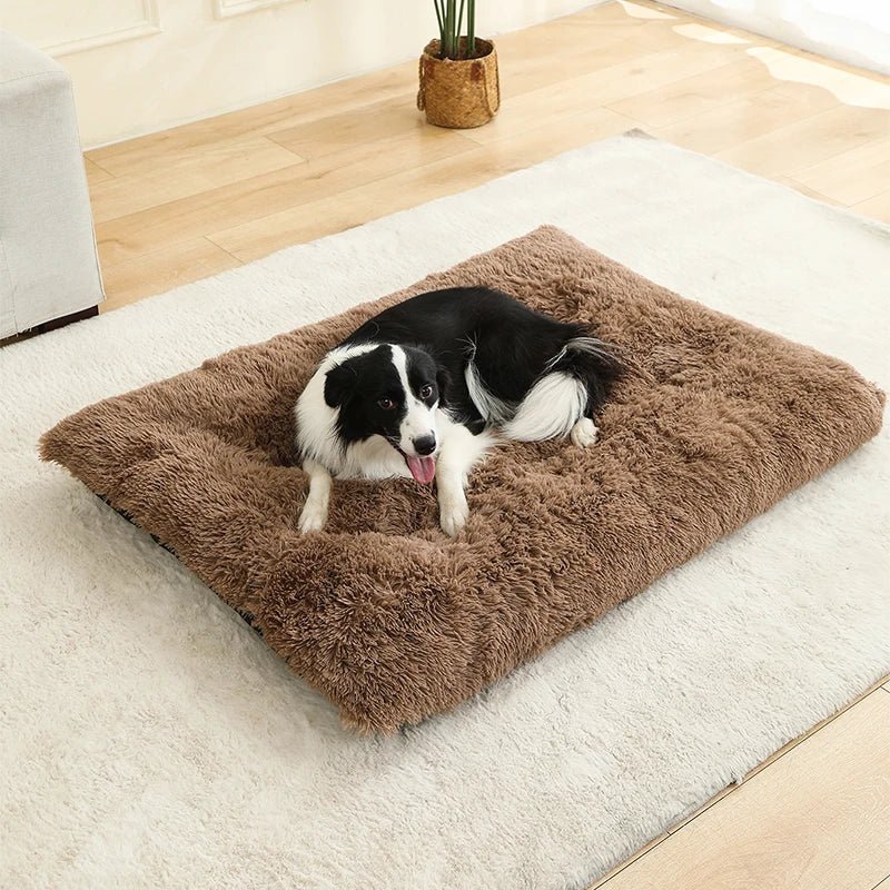 Luxurious Plush Dog Bed | Cozy Cotton Cover | DreamRest