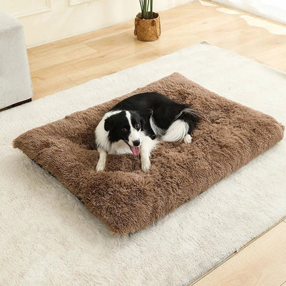 Luxurious Plush Dog Bed | Cozy Cotton Cover | DreamRest