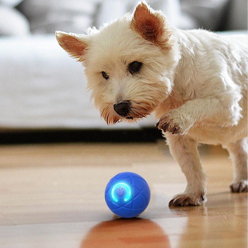 Interactive Pet Play Ball – Automatically Rolls and Jumps