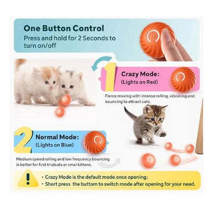 Interactive Pet Play Ball – Automatically Rolls and Jumps