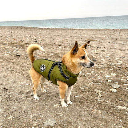 All-Weather Dog Jacket with Harness | Windproof & Waterproof