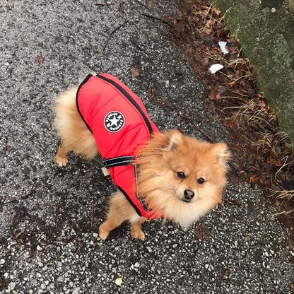 All-Weather Dog Jacket with Harness | Windproof & Waterproof