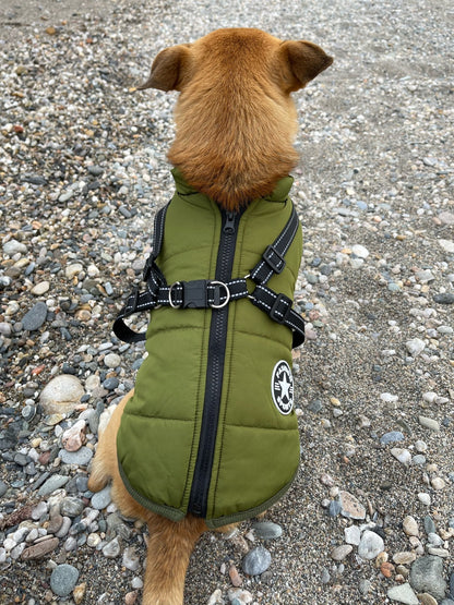 All-Weather Dog Jacket with Harness | Windproof & Waterproof