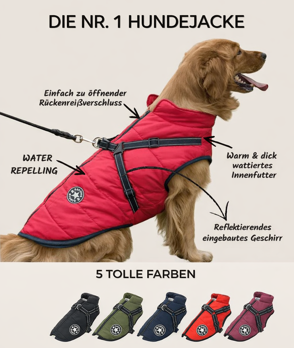 All-Weather Dog Jacket with Harness | Windproof & Waterproof