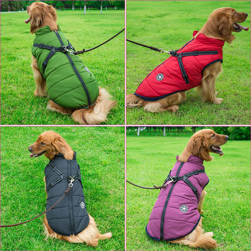 All-Weather Dog Jacket with Harness | Windproof & Waterproof