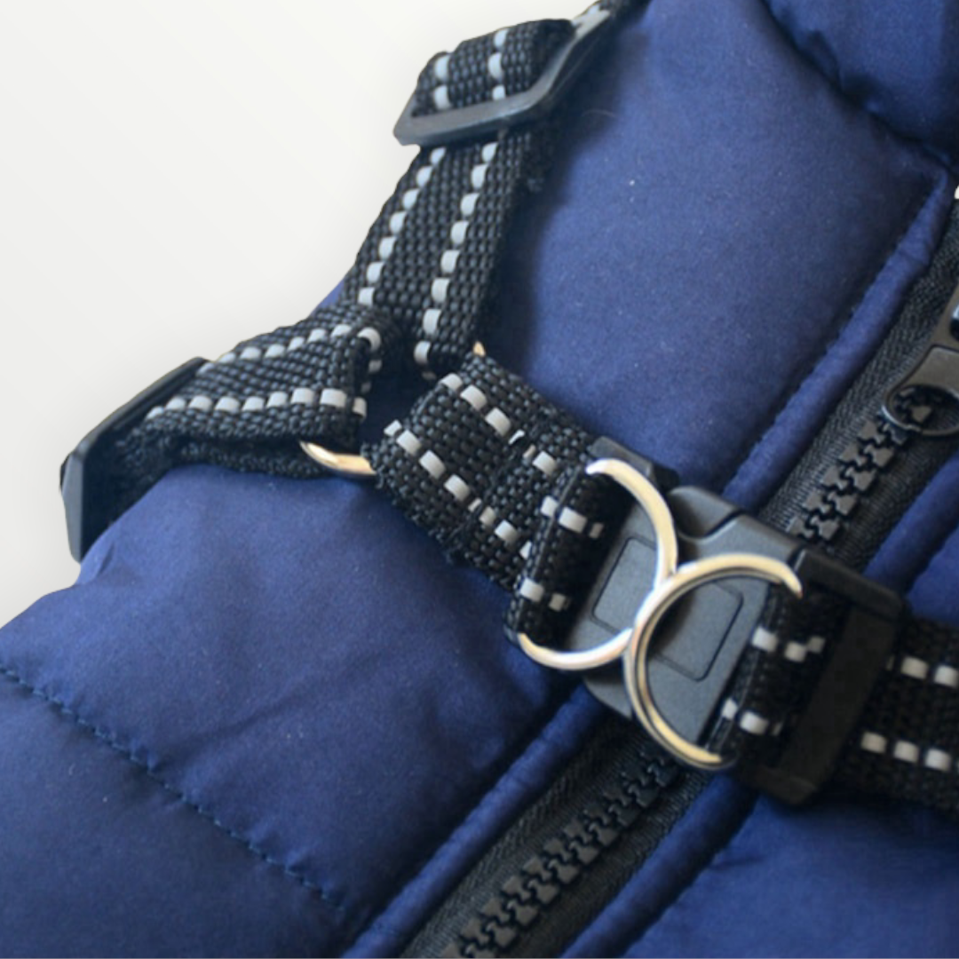 All-Weather Dog Jacket with Harness | Windproof & Waterproof