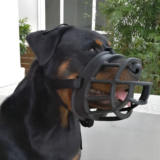 Breathable Adjustable Dog Muzzle for Comfort and Safety