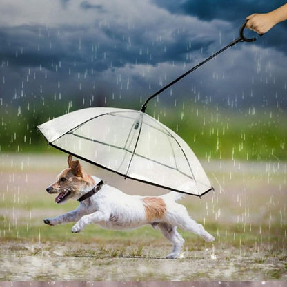 Hands-Free Dog Umbrella for Rainy Adventures