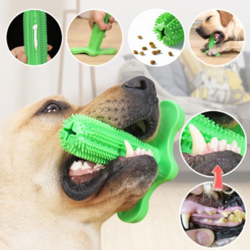 Ultimate Dental Toy for Your Dog's Oral Health