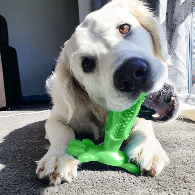 Ultimate Dental Toy for Your Dog's Oral Health
