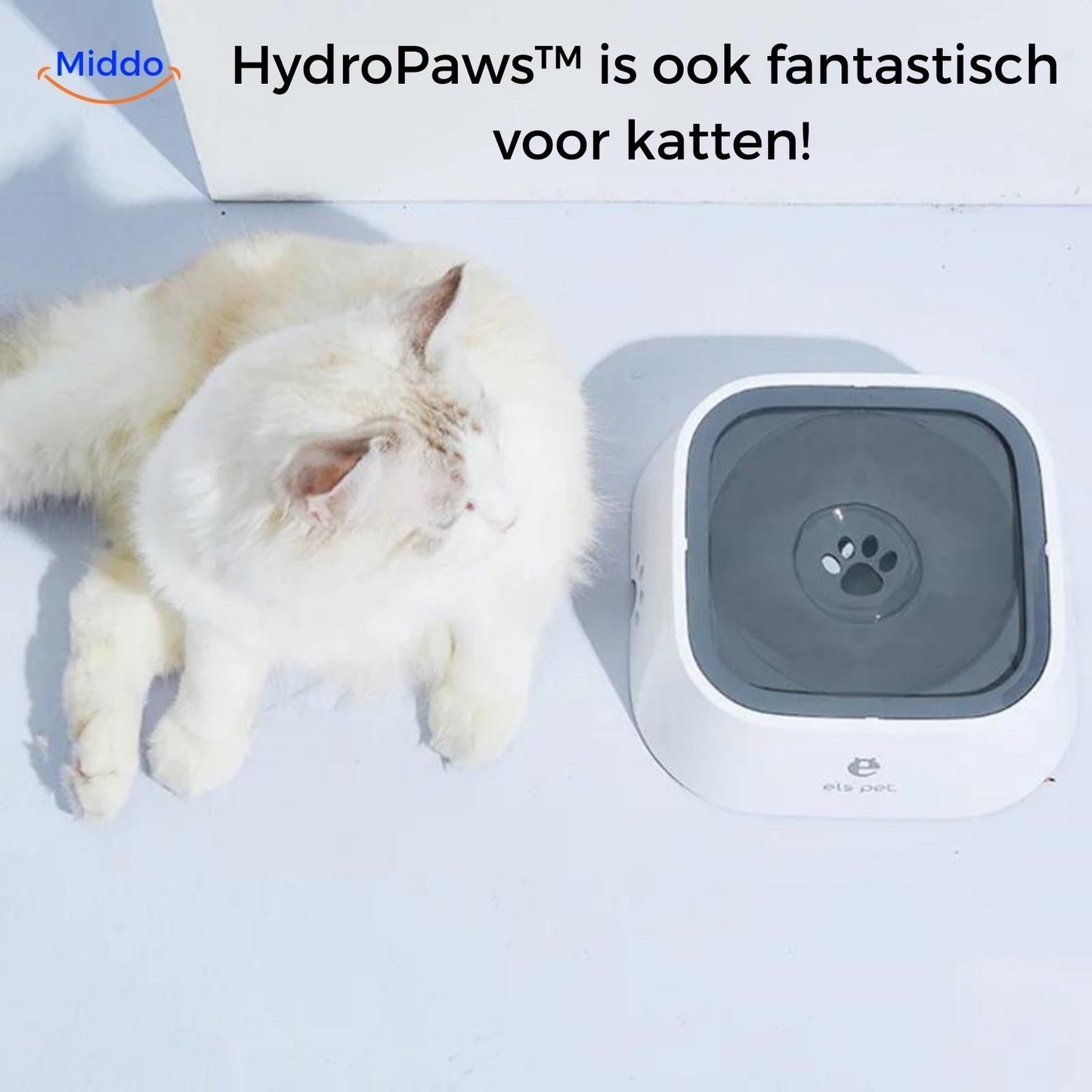 Slip-Resistant Drinking Bowl for Safe Hydration - PawGuard Anti-Splash