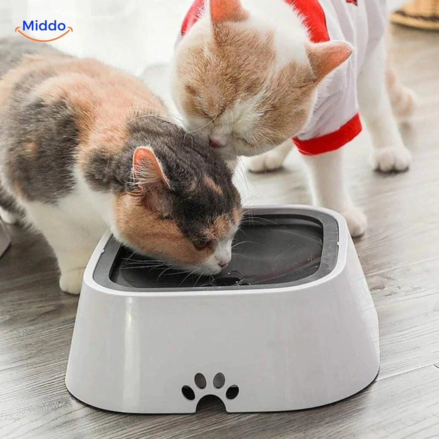 Slip-Resistant Drinking Bowl for Safe Hydration - PawGuard Anti-Splash