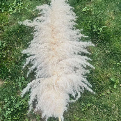 Fluffy Pampas Grass - Large Decorative Dried Plant