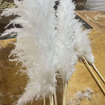 Fluffy Pampas Grass - Large Decorative Dried Plant