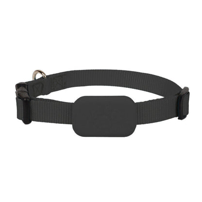 Mini Animal Tracker – Bluetooth Collar for Dogs and Cats