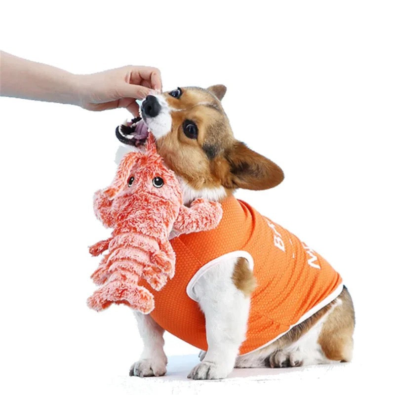 Interactive Lobster Dog Toy - Bouncy and Engaging Plaything