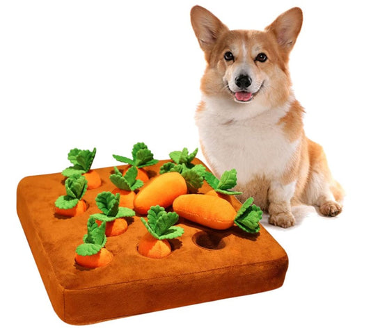 Engaging Carrot-Shaped Dog Toy for Hours of Fun