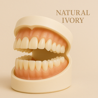 Natural Ivory