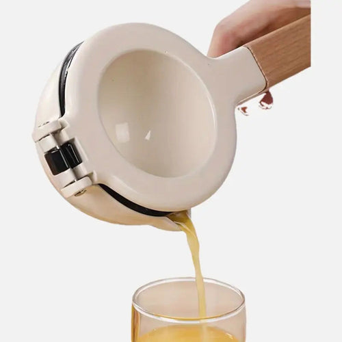 Premium Stainless Steel Citrus Juicer with Ergonomic Grip