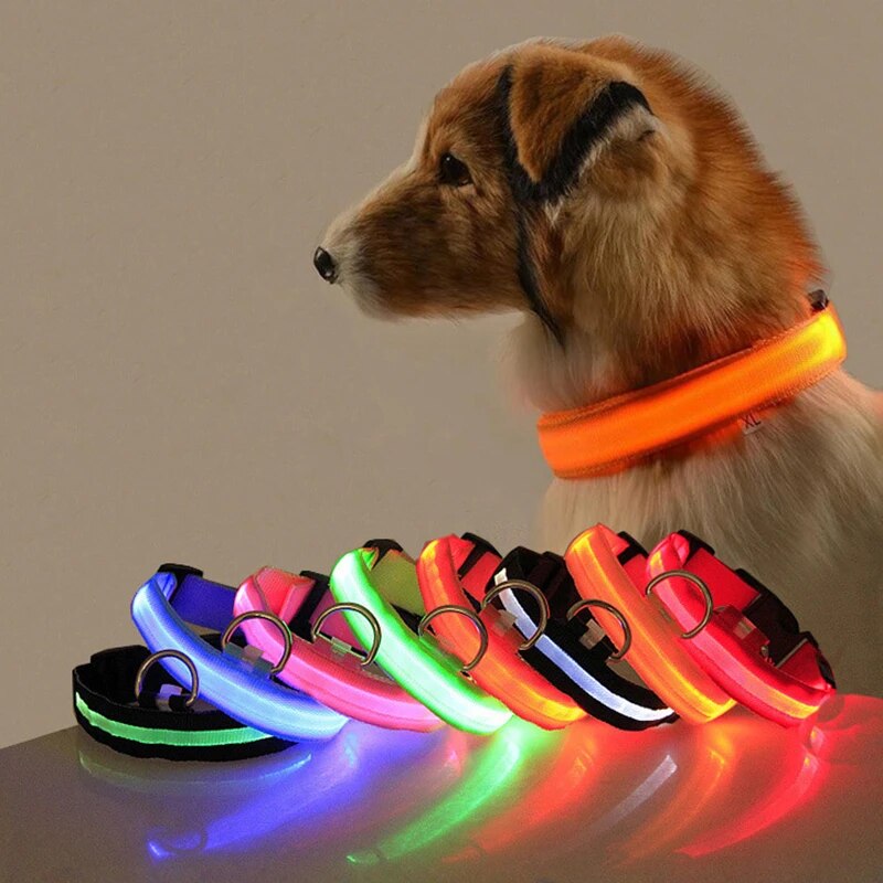IlluminatePet Safety Collar for Nighttime Adventures