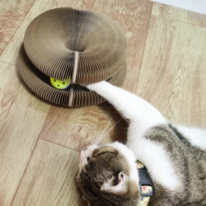 Purrfect Playtime | The Ultimate Cat Toy Experience!