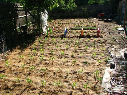 Effortless Watering System | Save Up to 70% Water | Garden & Patio