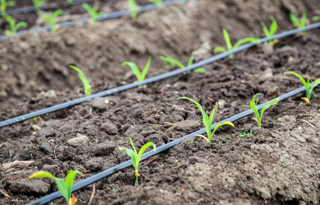 Effortless Watering System | Save Up to 70% Water | Garden & Patio