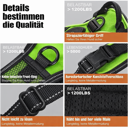 Illuminate Your Walks with the BrightPaw LED Harness