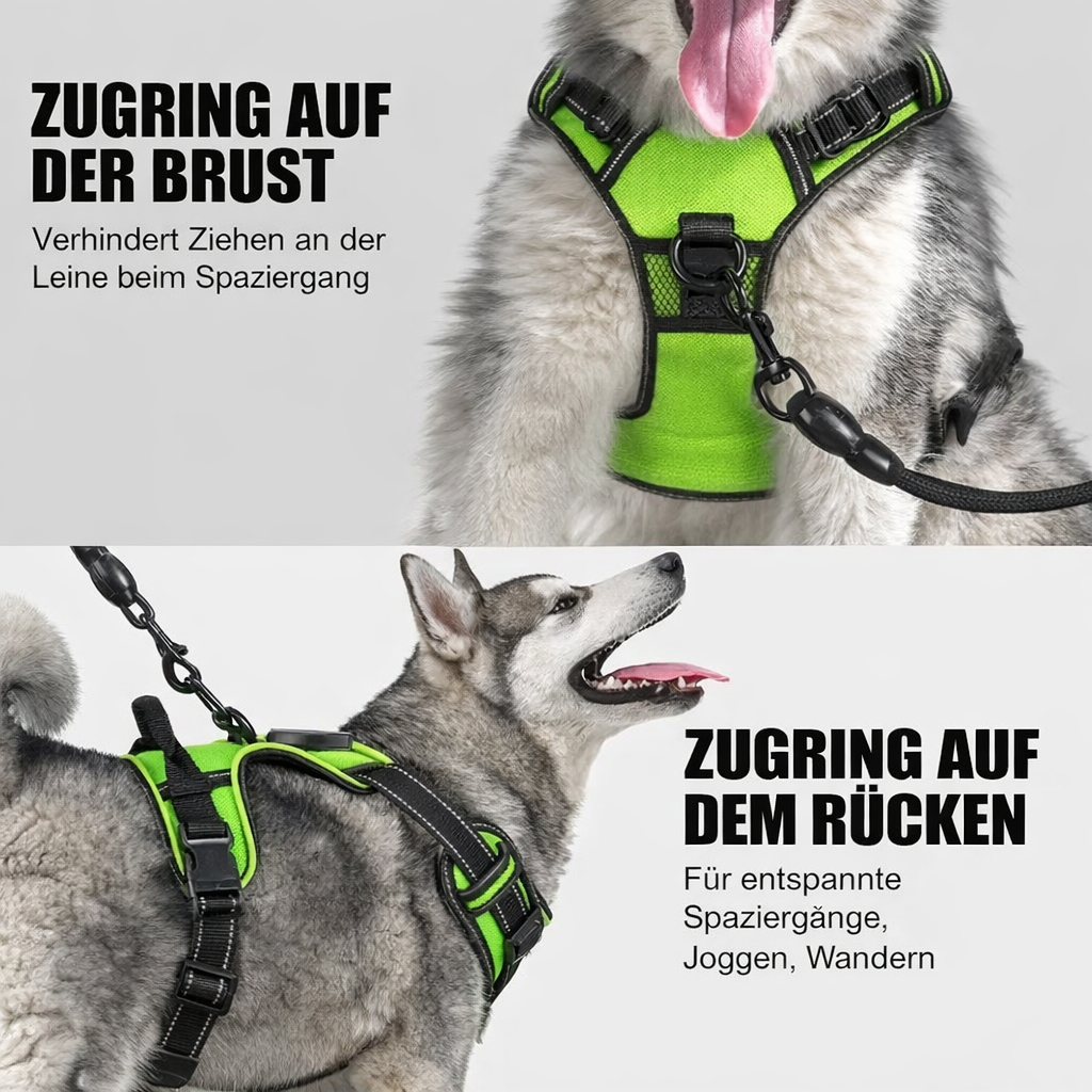 Illuminate Your Walks with the BrightPaw LED Harness