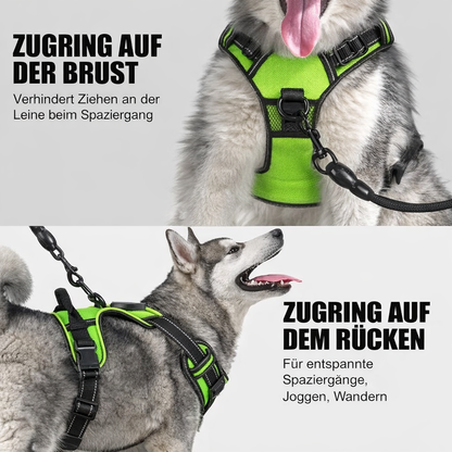 Illuminate Your Walks with the BrightPaw LED Harness