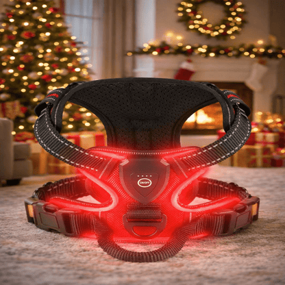 Illuminate Your Walks with the BrightPaw LED Harness