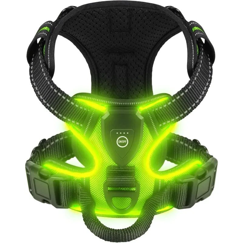 Illuminate Your Walks with the BrightPaw LED Harness