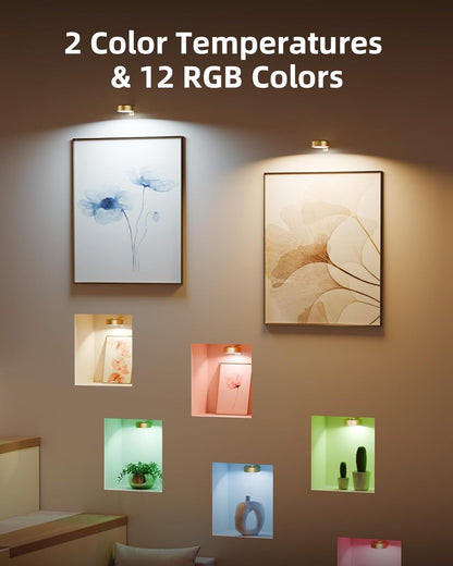 Magnetic LED Picture Light | Adjustable Brightness | LumaBeam