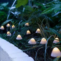 3.8m 10LED-Warm